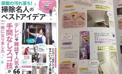 感動の汚れ落ち! 掃除名人のベストアイデア (TJMOOK)