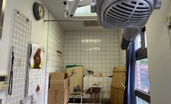 ペットサロン移転引っ越し片付け事例